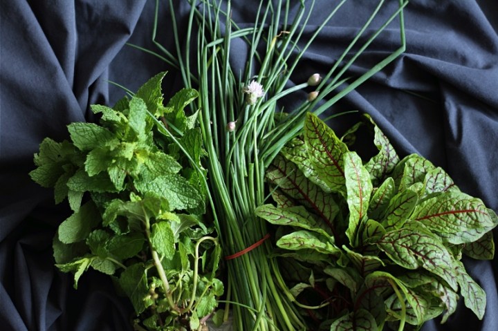 Soft fresh herbs for chopping, sprinkling and mixing with cream cheese