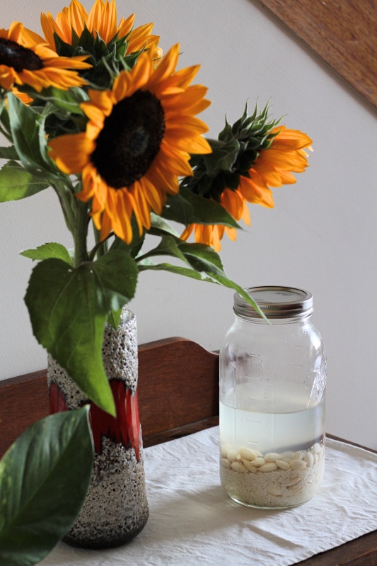 Horchata is a naturally vegan Mexican beverage made with soaked almonds, rice and cinnamon. This recipe includes a touch of rosewater and honey to sweeten and it is deliciously cooling served over ice